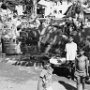 Washermen (the dhobi caste) in a village, their tubs close to the village well.